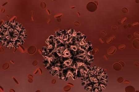 HPV Body Dysmorphia – image 1